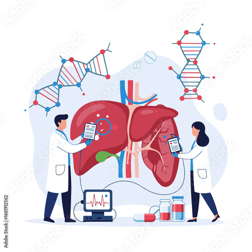 Medical professionals examining a human liver with advanced diagnostic technology for research and healthcare