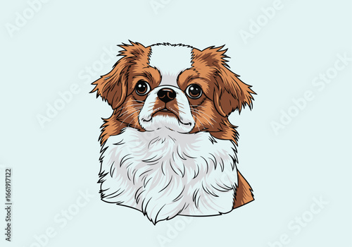 A detailed illustration of a cute Japanese Chin dog's head with fluffy brown and white fur.
