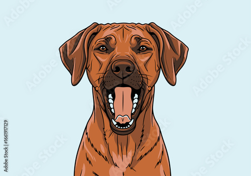 A detailed illustration of a Rhodesian Ridgeback dog with an open mouth, yawning.