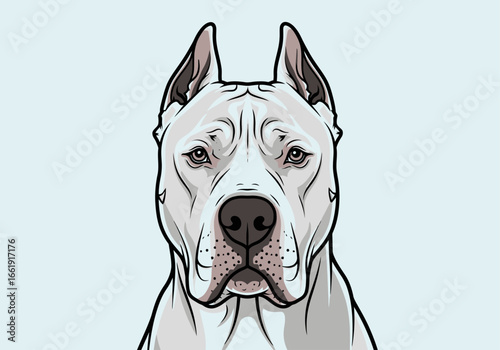 Illustration of a white Dogo Argentino dog breed with cropped ears.