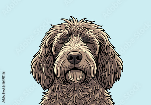 Close-up portrait of a fluffy, brown dog.