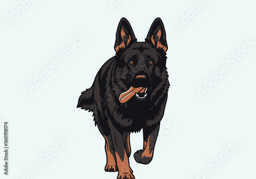 Black German Shepherd Dog with Stick in Mouth.