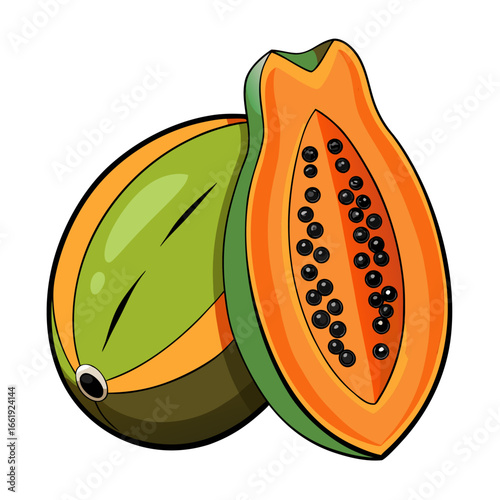 papaya lineart on vector