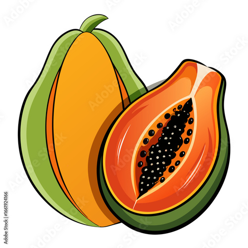 vector illustration of a papaya fruit
