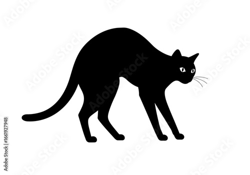 A black cat with arched back eyes and whiskers is on a white background