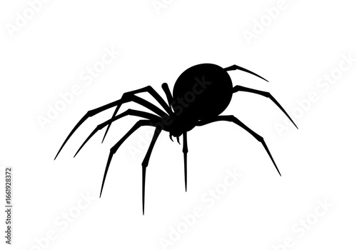 A solid black spider with eight legs is centrally isolated against a white backdrop