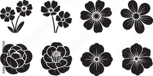 Black floral illustrations flowers botanical
