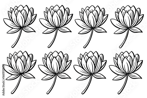 Eight Black and White Outline Drawings of Lotus Flowers water lily