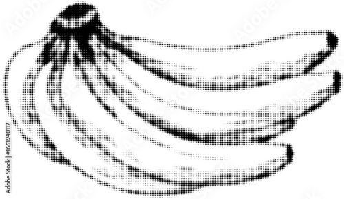 Halftone black and white bananas in vintage artistic style illustration. Vector illustration