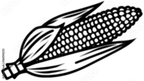 Black and white illustration of a single ear of corn with husks. Vector illustration