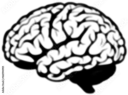 Detailed halftone illustration of a human brain in black and white. Vector illustration
