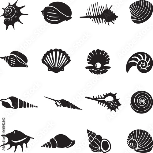 Seashell silhouettes: diverse collection of vector sea shells, mollusks, and ocean life icons.