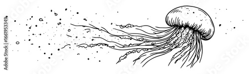 jellyfish drifting with long tentacles black and white vector illustration
