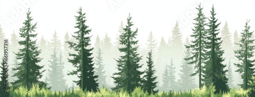 Modern watercolor illustration of forest trees with a panoramic view of pine trees