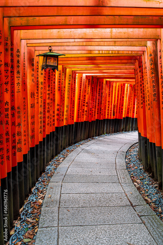 At sunrise, the red torii gates of Fushimi Inari Shrine in Kyoto glow in golden morning light, creating a serene and spiritual scene that reflects the sacred beauty of this iconic site.