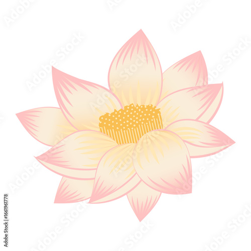 Indian Lotus Pichwai Mughal Style Illustration with Pink and Yellow Floral Design