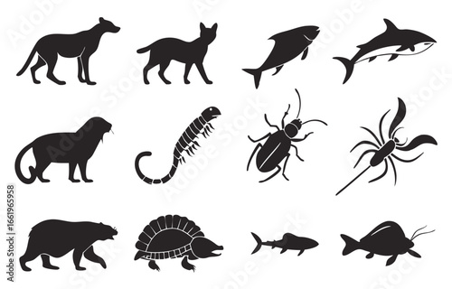 Collection of diverse animal silhouettes in black and white
