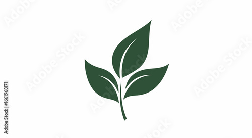 Minimalist leaf design in green with simple elegant style