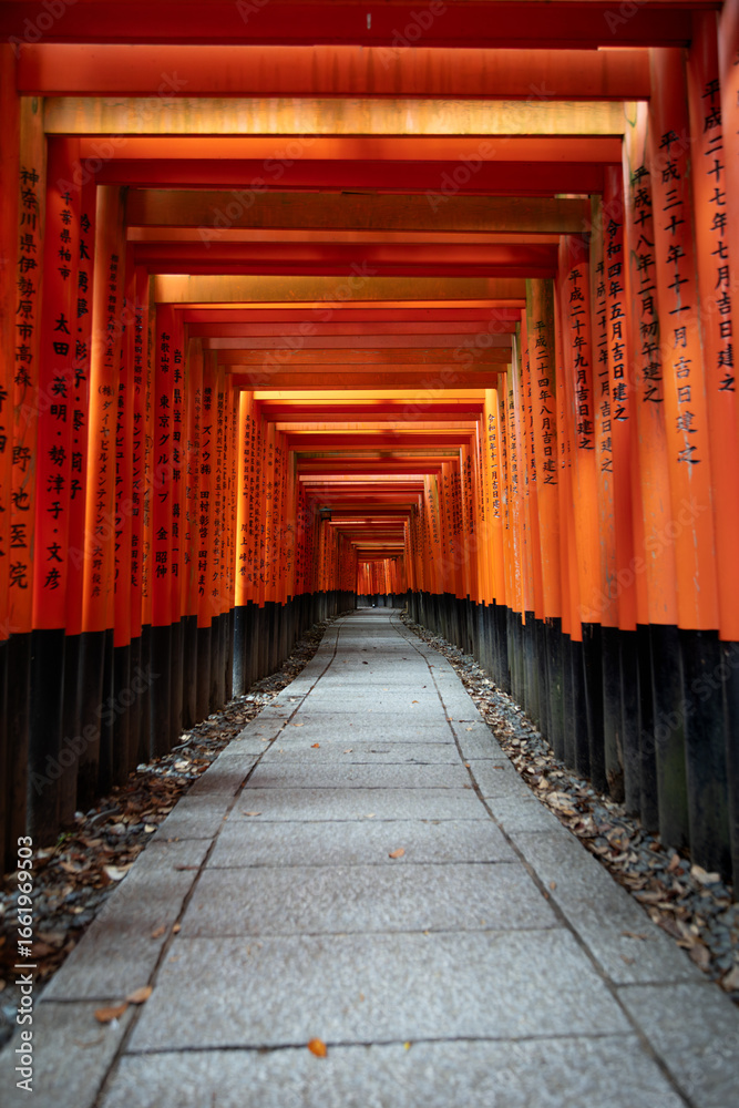 Fototapeta premium Vertical shot of a torii tunnel without people. The light passes through the wooden beams, illuminating the path, a typical entrance of Shinto temples, marked by red wooden structures lining the road