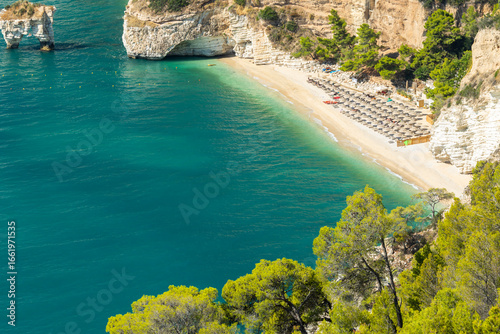 Fototapeta Naklejka Na Ścianę i Meble -  Baia delle Zagare beach with turquoise water and white cliffs in Mattinata, Apulia, Italy