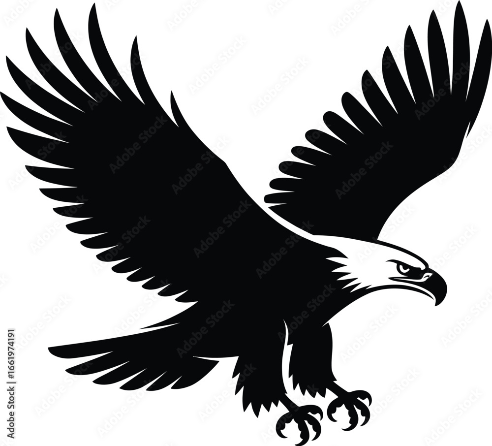 Fototapeta premium Majestic black eagle soaring with spread wings bird