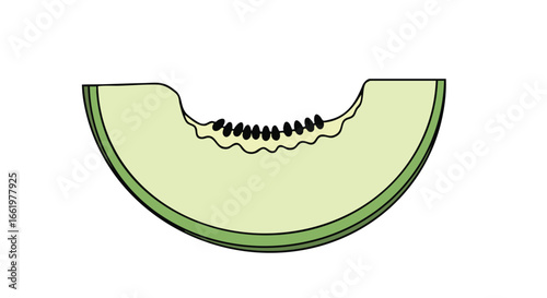 Simple depiction of a halved, outlined melon, showcasing its flesh and seed arrangement, rendered with clean lines and pastel color palettes for an