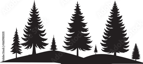 pine trees with landscape silhouette vector. conifer evergreen trees, in a natural forest setting. Vector illustration