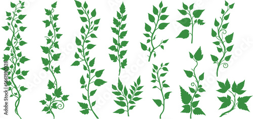 Liana plants. Tropical climbing creepers branches with moss, rainforest flora flat vector illustration isolated on white background