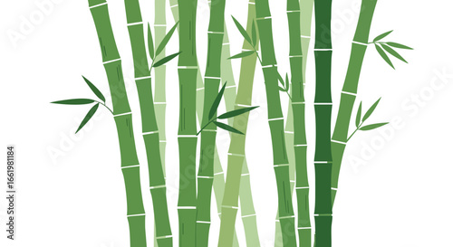 Illustrative bamboo grove background with fresh green stalks, evokes a sense of nature and peaceful zen garden retreat scene that promotes tranquility