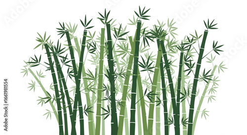 Stylized Bamboo Grove Illustration: Lush Green Stalks and Delicate Leaves in a Serene Forest Depiction