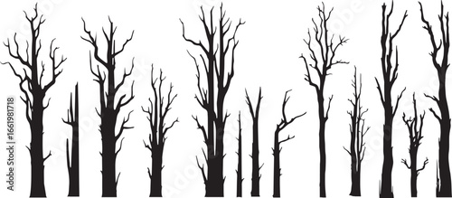 silhouette forest with dead trees, Bare trees with branches. vector