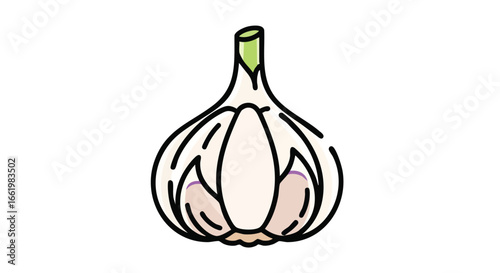 Stylized garlic bulb illustration, simple and modern kitchen ingredient drawing, culinary flavoring enhancer depicted in minimalist design