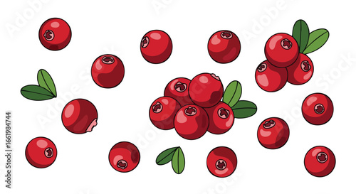 Stylized Cranberry Arrangement: Vibrant Red Berries and Green Leaves on a White Background for Graphic Design and Illustration projects