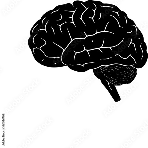 human brain silhouette
