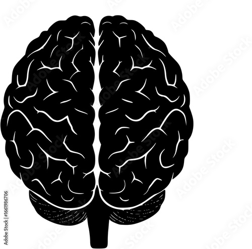 human brain silhouette
