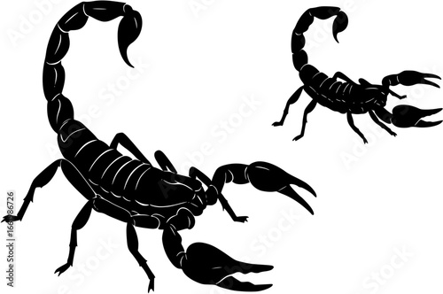 scorpion silhouette
