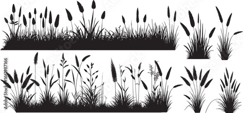 Silhouette of cattails and reeds. Wild grass set. Decorative Botanical Elements for Wetland, Garden, and Nature Scenes, vector illustration
