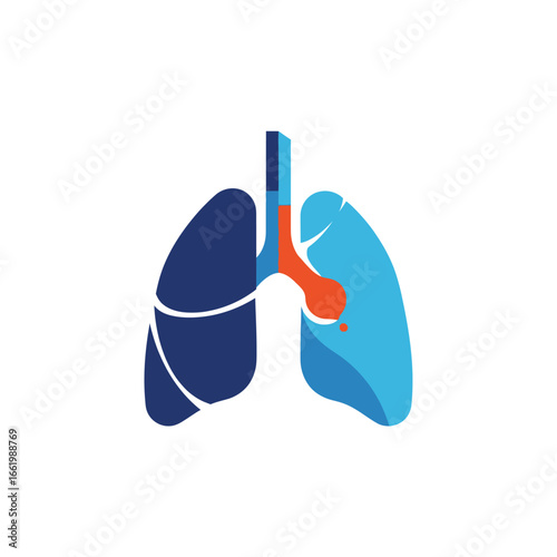 Illustration of human lungs with trachea and bronchi in blue and orange colors.