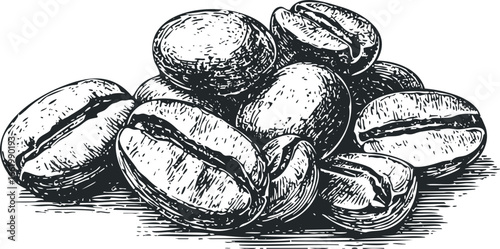 Sketch of pile of roasted coffee beans with detail lines