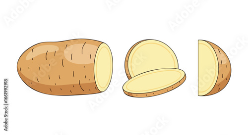 Cartoon illustration displaying fresh potatoes whole and sliced against plain background perfect for recipe guides educational agricultural content