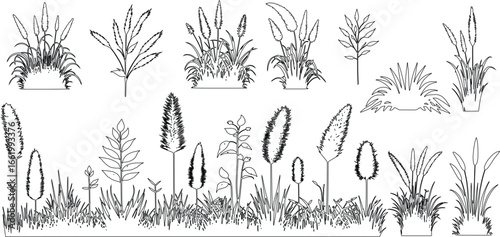 Wild grass and meadow plants outline. isolated on white background. Ground cover. Illustration for elevation architectural element, side view, grass section, vector set