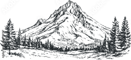 Hand drawn sketch of a majestic mountain peak surrounded by evergreen trees