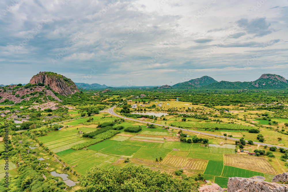 Fototapeta premium A large field of green grass with a few trees in the background
