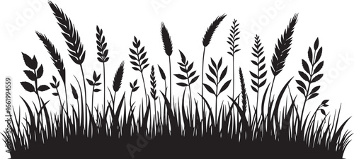 Black Silhouette of Grass and Wheat Stalks field meadow. silhouette of grass and wheat vector