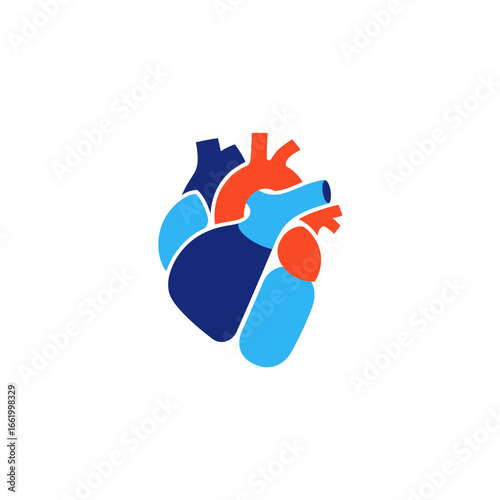 Stylized anatomical heart illustration in blue, red, and orange on white.