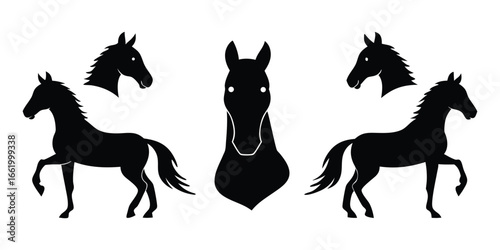 Silhouettes of horses and their heads from different angles
