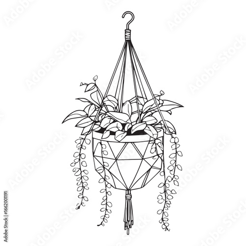 Vector art of handdrawn illustration of a lush green hanging plant in a geometric macrame pot, isolated on a, perfect for home decor and interior design