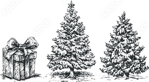 Engraved Christmas Trees and Gift Box Illustration