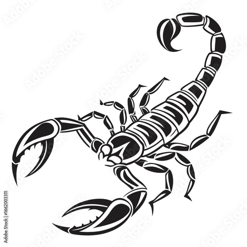 Black arachnid silhouette vector illustration, a poisonous scorpion isolated on white with its tail and stinger raised