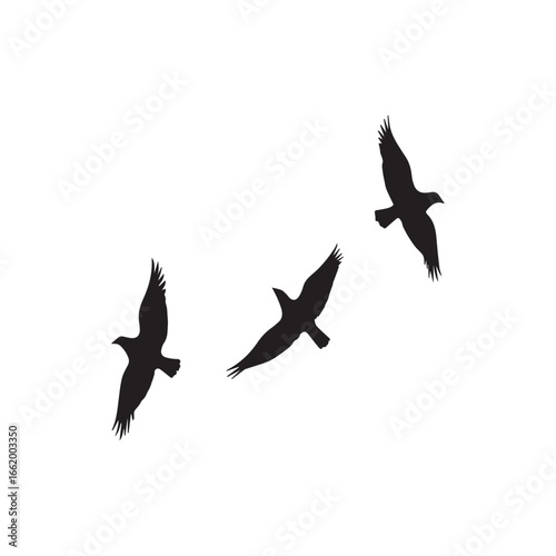 Vector art of three black bird silhouettes flying in formation against a stark, symbolizing freedom, migration, and the beauty of natures aerial ballet